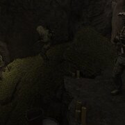 thecreedod234@gmail.com