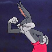 darkgimbarr@mail.ru