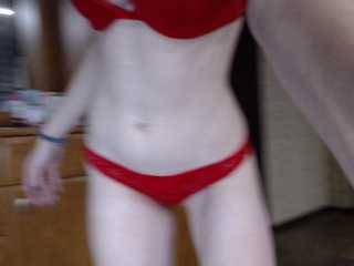 SienaFox