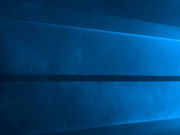 Черника Приват 2