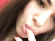 FebruaryLynx 04.03.2018