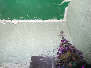 Inngem 10-01-2018 squirt