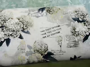 Inngem 10-01-2018 squirt