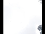 Настя Рыбка