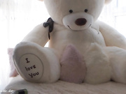 shackle_shot 2 fingers anal