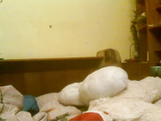 приват в скайпе и на сайте www.beboo.ru