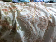 Трах с брюнеткой