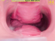 _pinkrose_