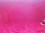 vesta_sweet