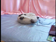 Kotja мастурбирует в камеру