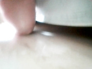 Корова Милка