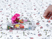 The Dream-Is Real - Ariel