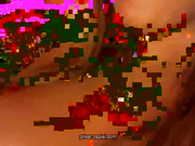 Редкий приват Kattte