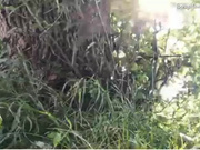 2018_08_03_17_13_18_Mari-ana