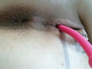 pevicha
