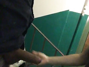 Alinamax2