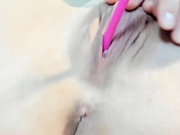 sweetcobra