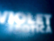 Viorotica - Fireplace Fun