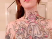 harliequinnx