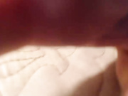 vesta_sweet