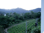 GessiStar
