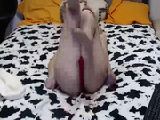 hotmilla