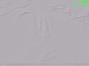 Lilisenok 4 ха-хе-ху