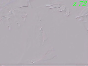 Lilisenok 4 ха-хе-ху