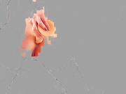 Видео Молоденькая сучка sweetalina присела на большую игрушку