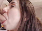 Nikostacy
