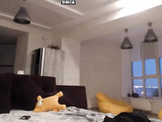 Nikostacy