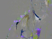 Angelella