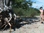 Maria Ryabushkina - Shells