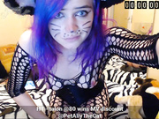 AllyTheCat