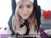 AllyTheCat