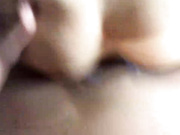 GentleCouplee