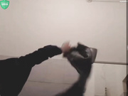 ButterflySay в общественном туалете