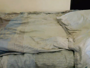 Сучка с прекрасной грудью