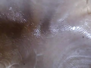 kissofacobr