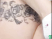 _Butterfly_