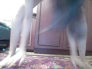 adiya