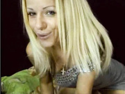 sindycat