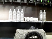 Ksya1221 Bongacams Webcamshow 10072019