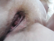 planet_Koshka киса крупным планом