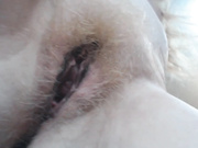 planet_Koshka киса крупным планом