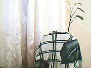 margara2012