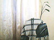 margara2012