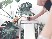 Так натурально играет Alikakiss