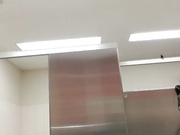 сисястая hotalektra