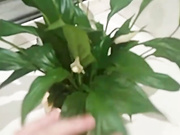 Etozhelya (EtoMarina)